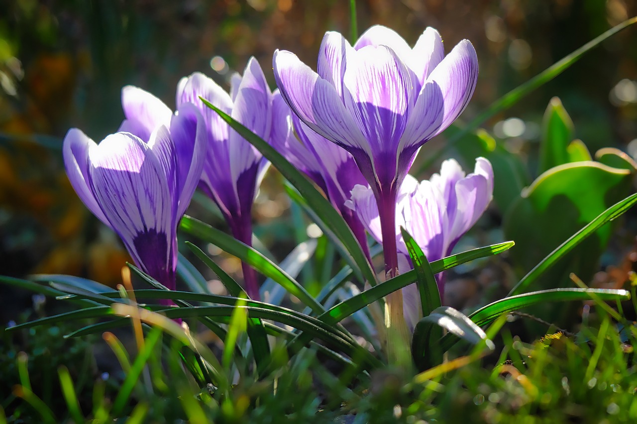 教师节致敬师恩，感恩师志，铭记师志的伟大教诲